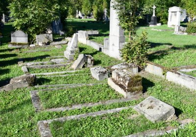 Teplice, Omnium, 2020