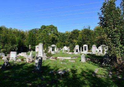 Teplice, Omnium, 2020