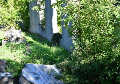 Teplice, Omnium, 2020