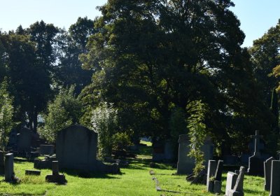 Teplice, Omnium, 2020