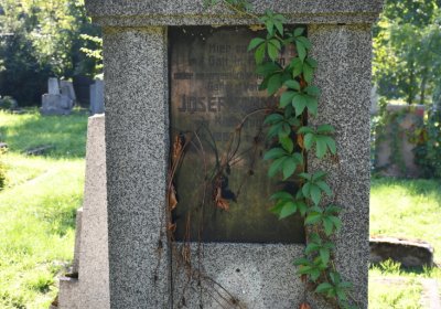 Teplice, Omnium, 2020