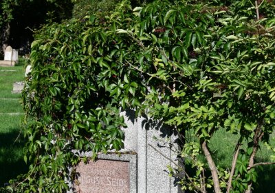 Teplice, Omnium, 2020