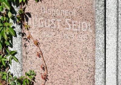 Teplice, Omnium, 2020