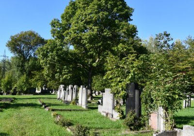 Teplice, Omnium, 2020