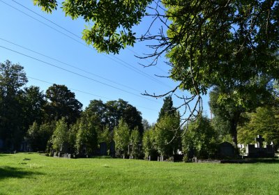 Teplice, Omnium, 2020