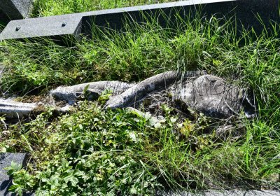 Teplice, Omnium, 2020