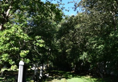 Teplice, Omnium, 2020