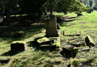 Teplice, Omnium, 2020