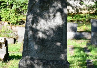 Teplice, Omnium, 2020