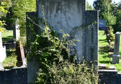 Teplice, Omnium, 2020