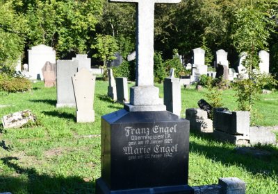 Teplice, Omnium, 2020