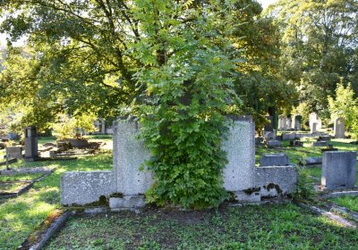 Teplice, Omnium, 2020