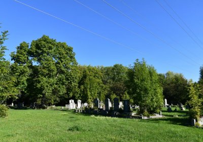 Teplice, Omnium, 2020