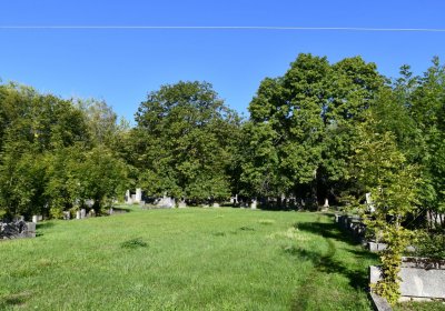 Teplice, Omnium, 2020