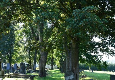 Teplice, Omnium, 2020