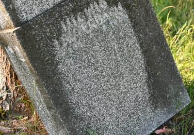 Teplice, Omnium, 2020