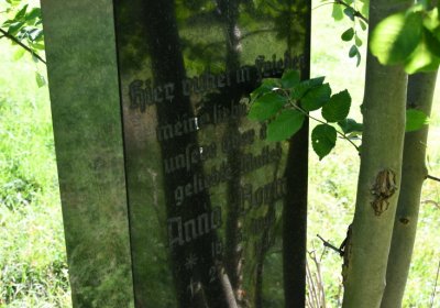 Teplice, Omnium, 2020