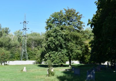 Teplice, Omnium, 2020