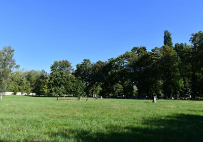 Teplice, Omnium, 2020