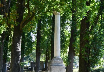 Teplice, Omnium, 2020