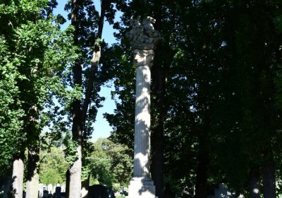 Teplice, Omnium, 2020