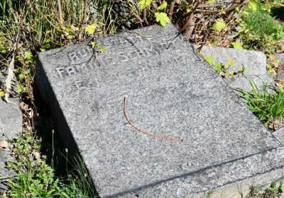 Teplice, Omnium, 2020