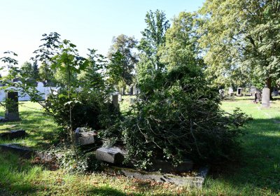 Teplice, Omnium, 2020