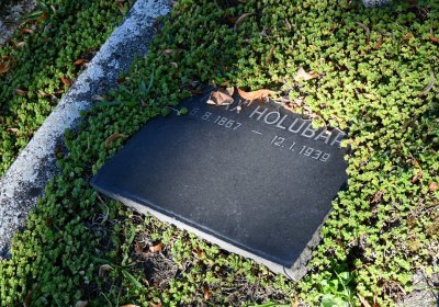 Teplice, Omnium, 2020