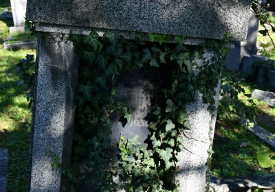 Teplice, Omnium, 2020