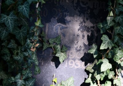 Teplice, Omnium, 2020