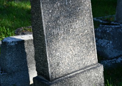 Teplice, Omnium, 2020