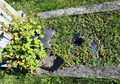 Teplice, Omnium, 2020