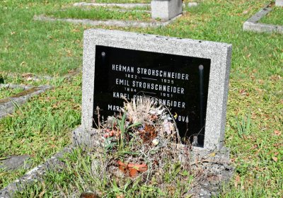 Teplice, Omnium, 2020