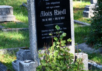 Teplice, Omnium, 2020