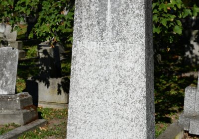 Teplice, Omnium, 2020