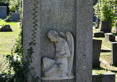 Teplice, Omnium, 2020