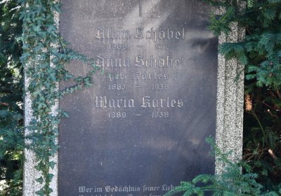 Teplice, Omnium, 2020