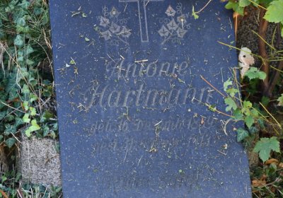 Teplice, Omnium, 2020