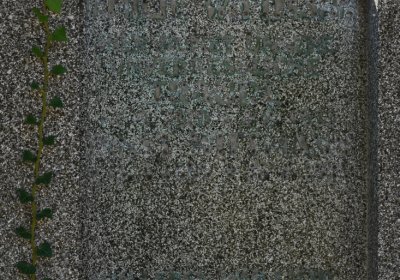 Teplice, Omnium, 2020