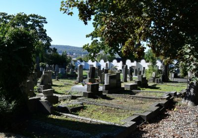 Teplice, Omnium, 2020