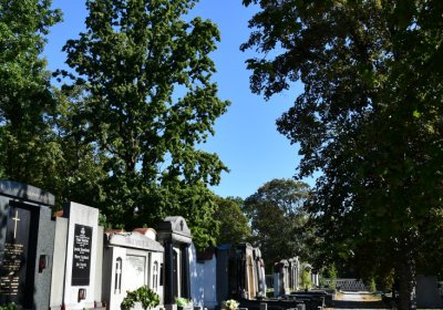 Teplice, Omnium, 2020