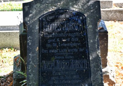 Teplice, Omnium, 2020