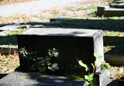 Teplice, Omnium, 2020