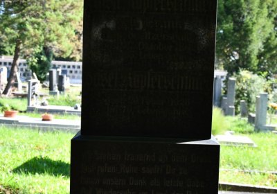 Teplice, Omnium, 2020