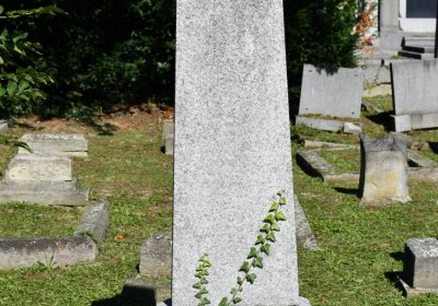 Teplice, Omnium, 2020