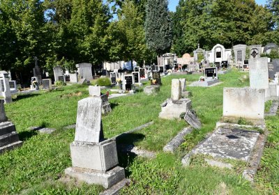 Teplice, Omnium, 2020