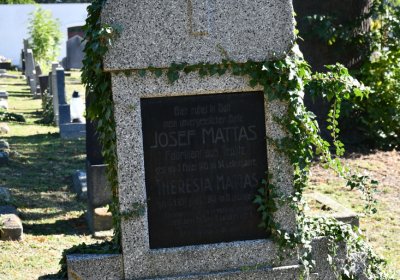 Teplice, Omnium, 2020