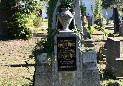 Teplice, Omnium, 2020