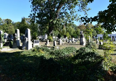 Teplice, Omnium, 2020