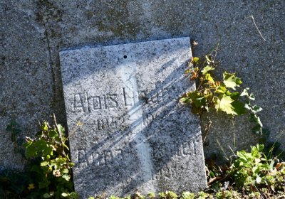 Teplice, Omnium, 2020